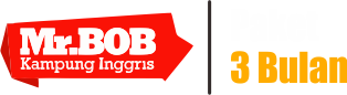 logo mr.bob paket 3 bulan